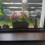 Pod Lasem * 哈日科维