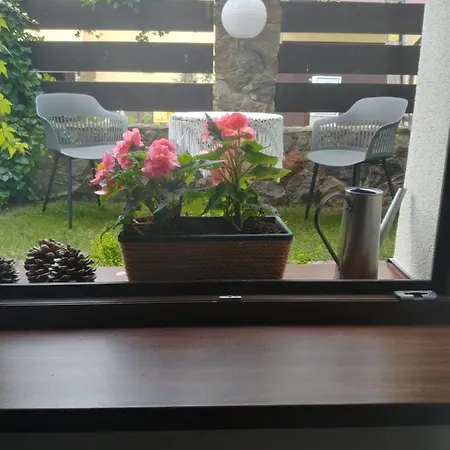 Pod Lasem * Charzykowy