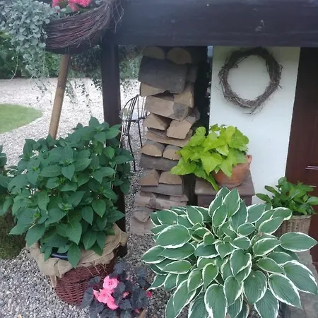 Pod Lasem * 哈日科维