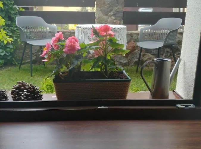 Pod Lasem * Charzykowy