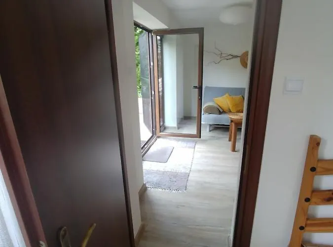 Pod Lasem * Charzykowy