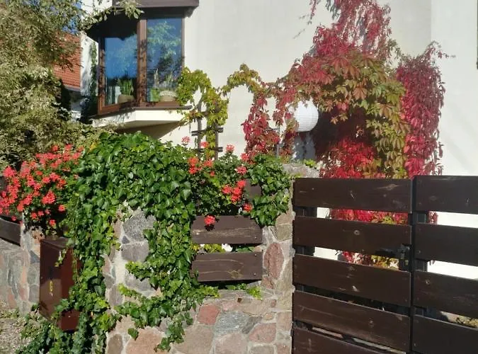 Pod Lasem * Charzykowy