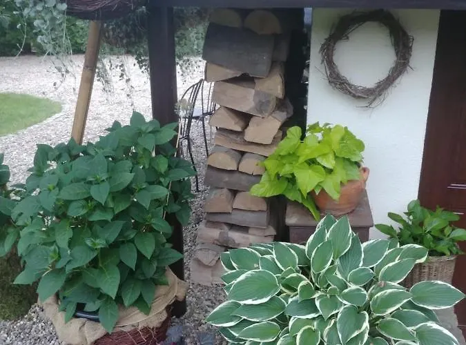 Pod Lasem * Charzykowy