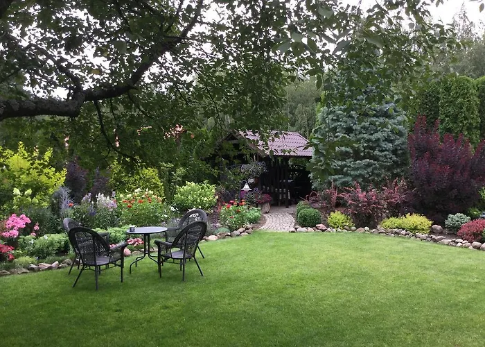 Pod Lasem * Charzykowy